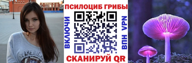 Купить закладки  Среднеуральск  Галлюциногенные грибы Psilocybine cubensis 